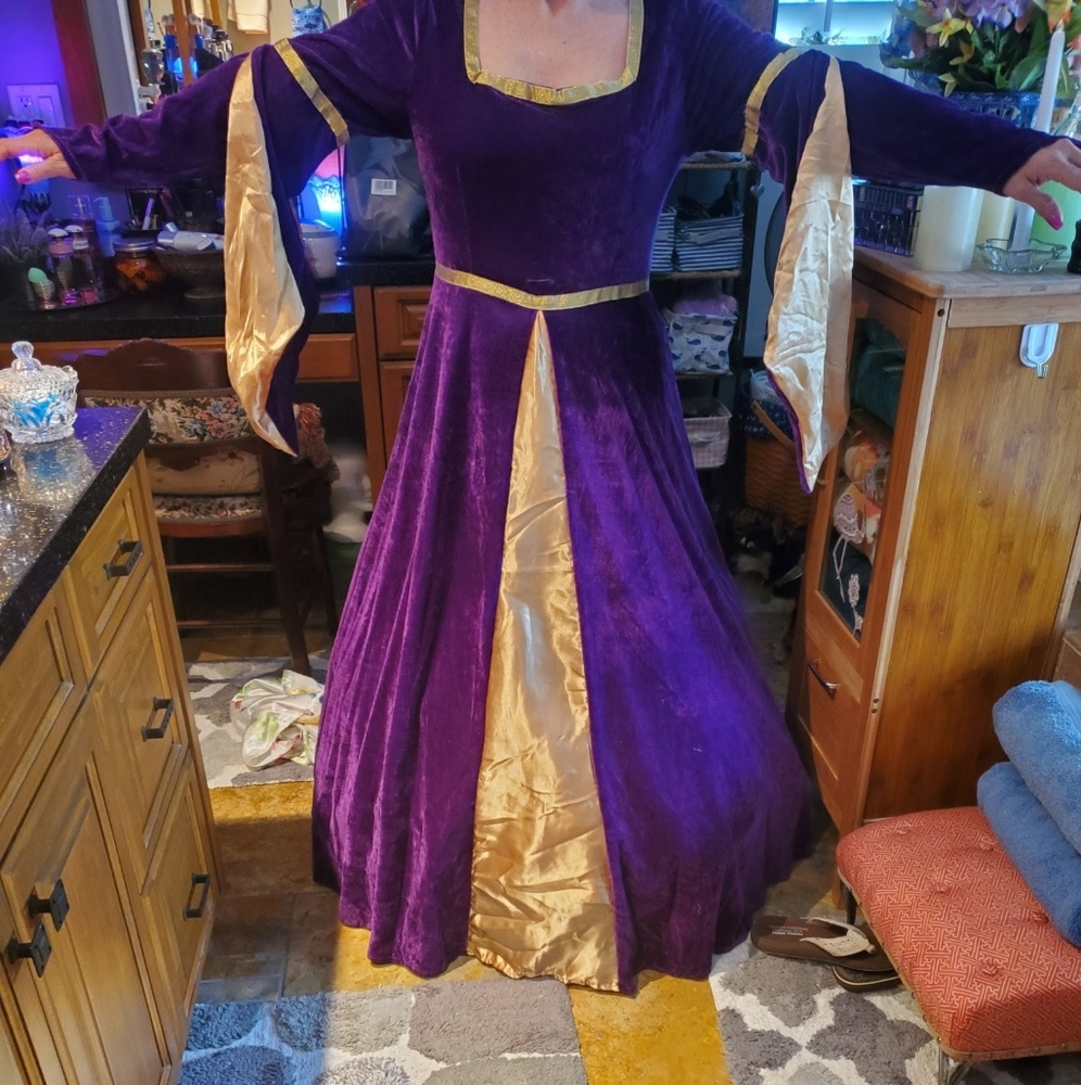 Costume - Picture 2 of 2